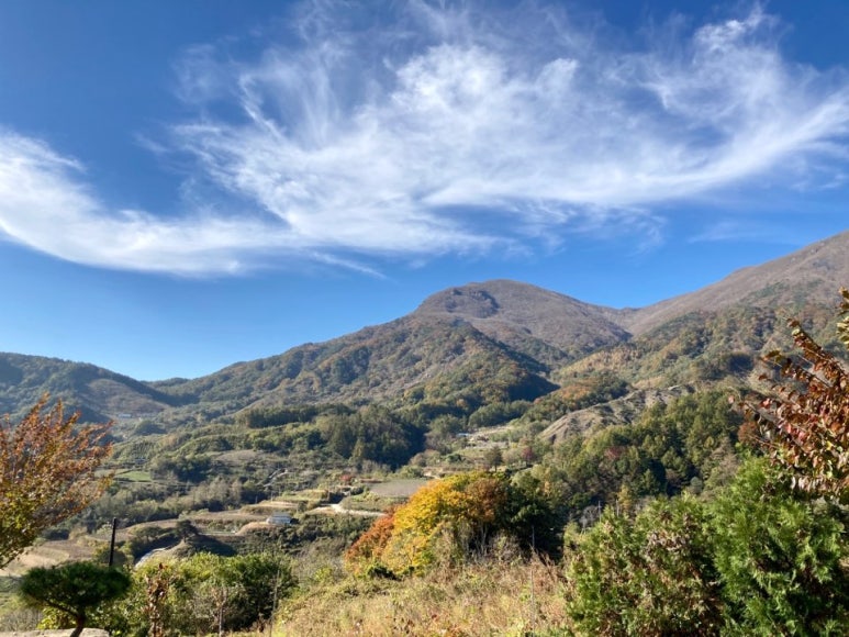 덕산다방 이미지