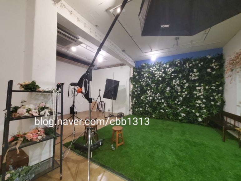 스텔라웨딩 이미지