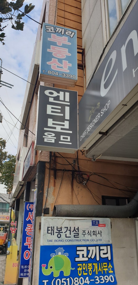 엔티보옴므 이미지