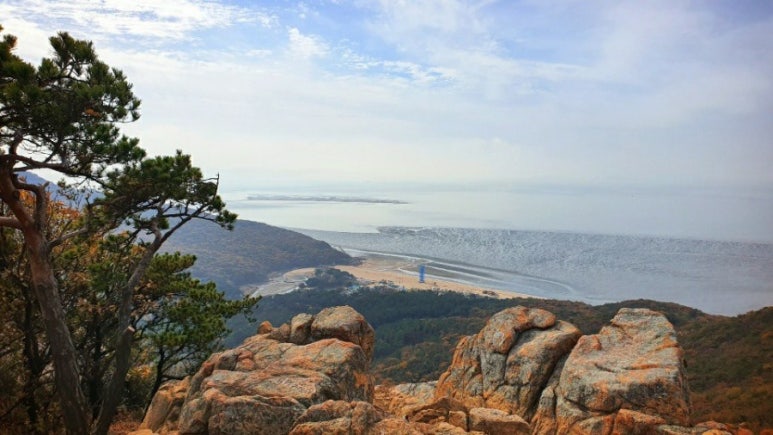 조군투어 이미지