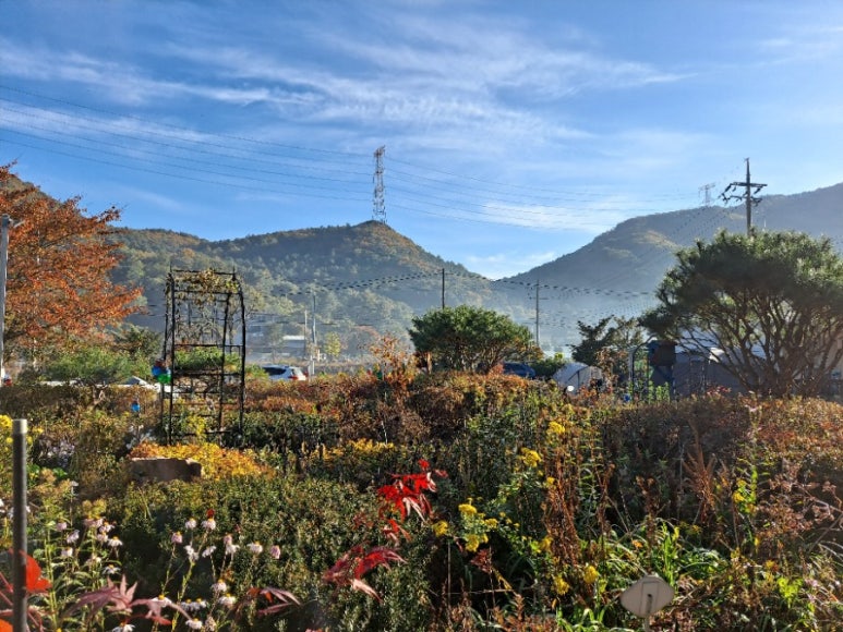들꽃여울캠핑장 이미지