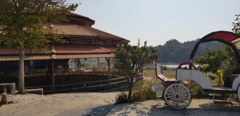 김제지평선홀스랜드 이미지