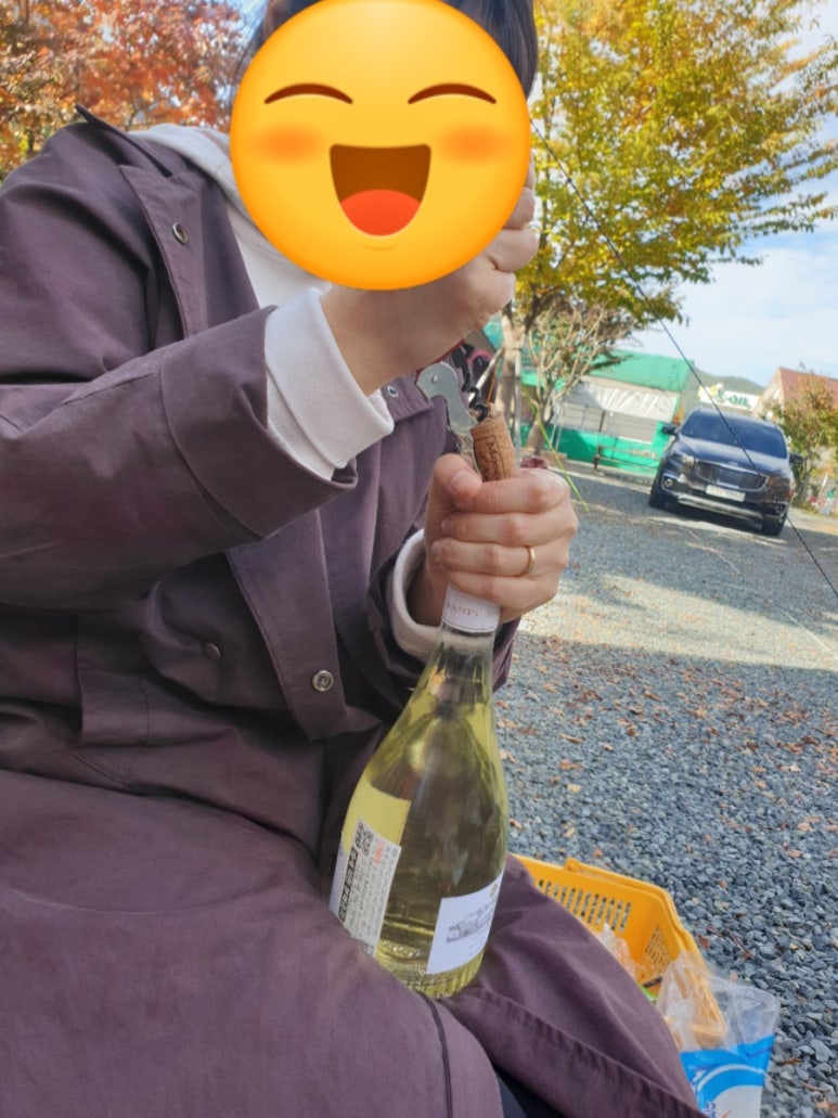 솔바람오토캠핑장 이미지
