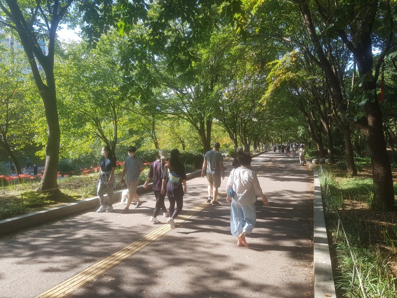 한솔초등학교 이미지