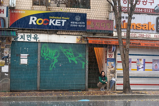 디자인삼진 이미지