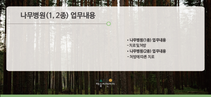 해솔나무병원 이미지