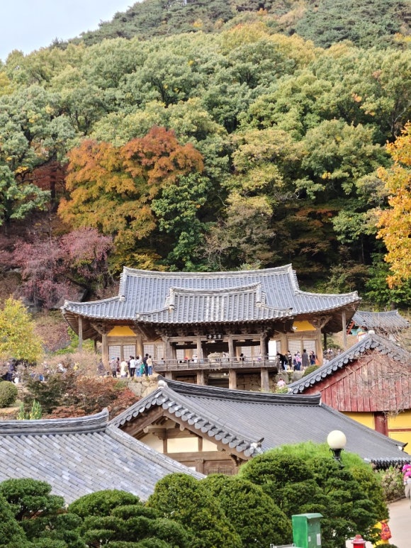 해연여행사 이미지