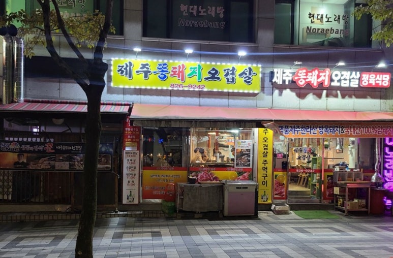 한라산똥돼지 이미지