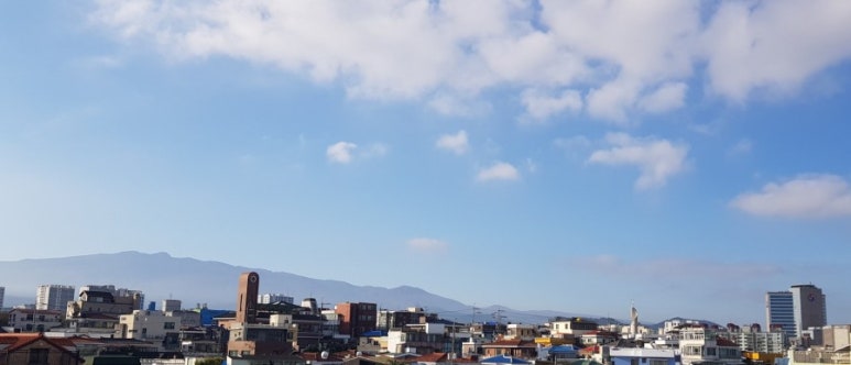 종스브레드 이미지