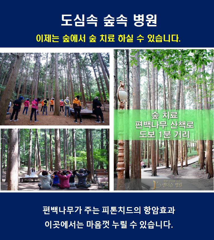 나무병원건강한숲 이미지