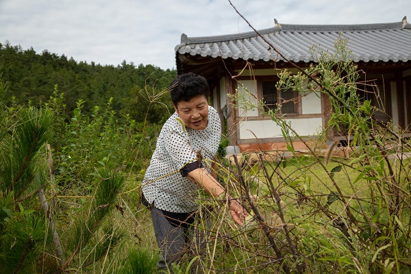 조약도한옥체험 이미지