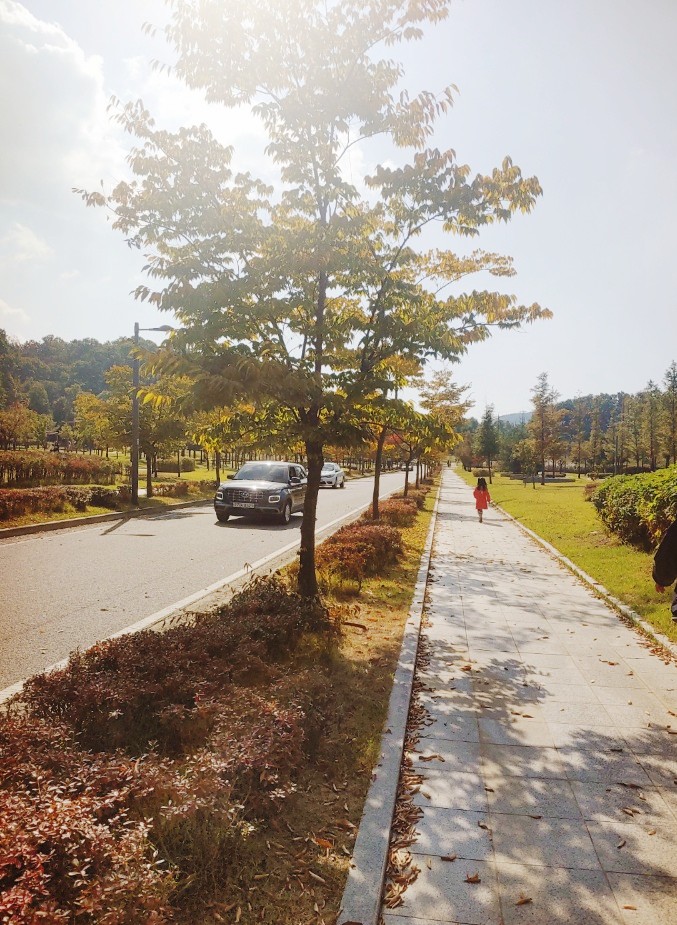 솔터힐링 숲체험원 이미지