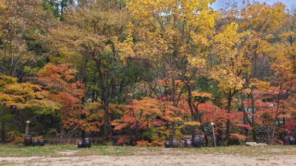 평창자연속쉼표 이미지