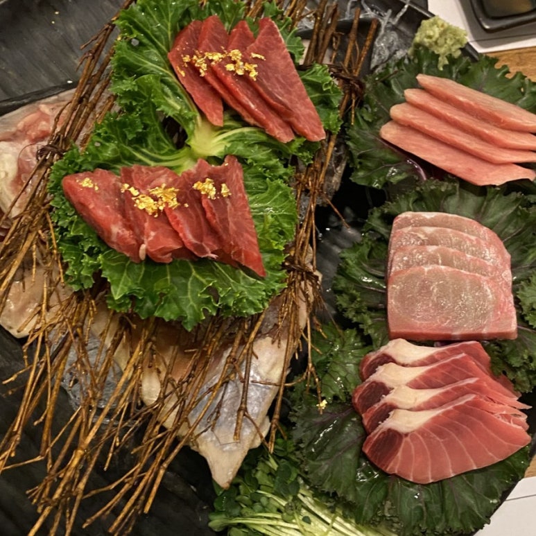 다미참치 이미지