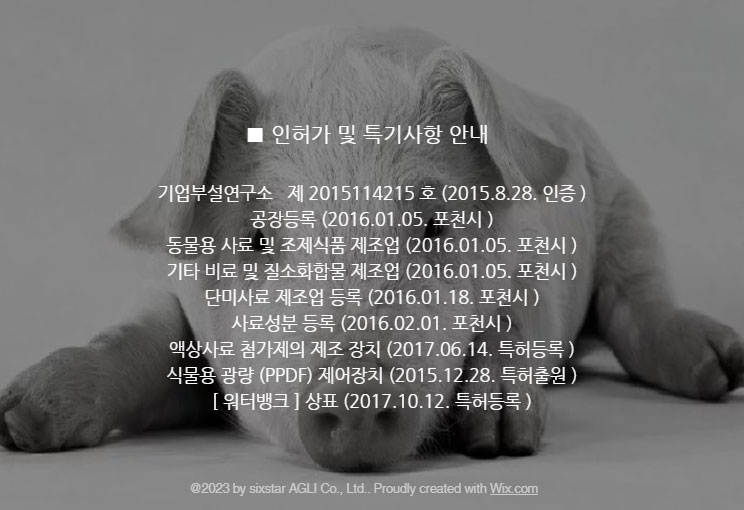 조아인력 이미지