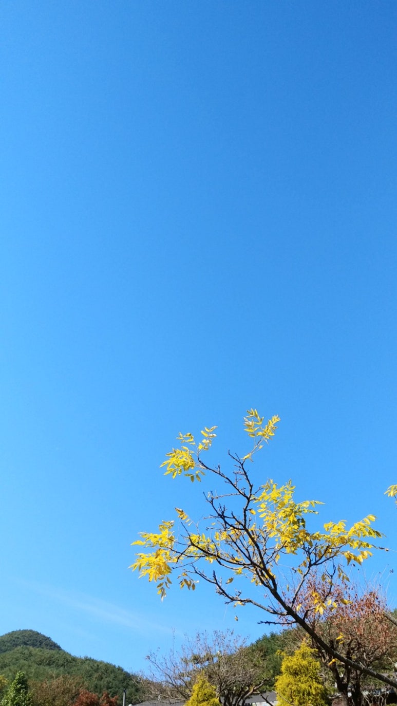 지리산 하늘농원 이미지