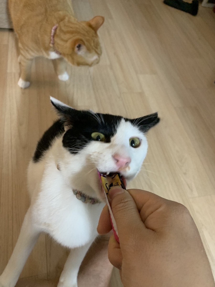아이스크림할인점냠냠간식 이미지