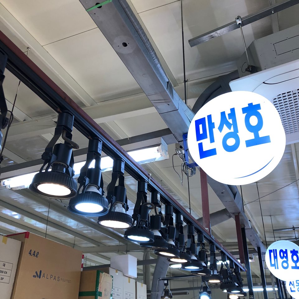 만성호(젓갈) 이미지