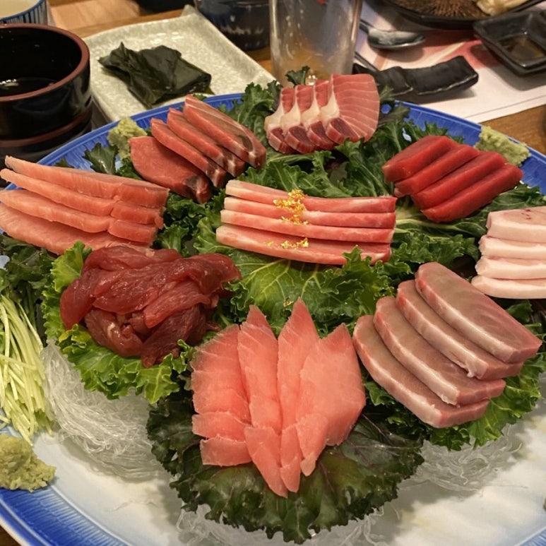 다미참치 이미지