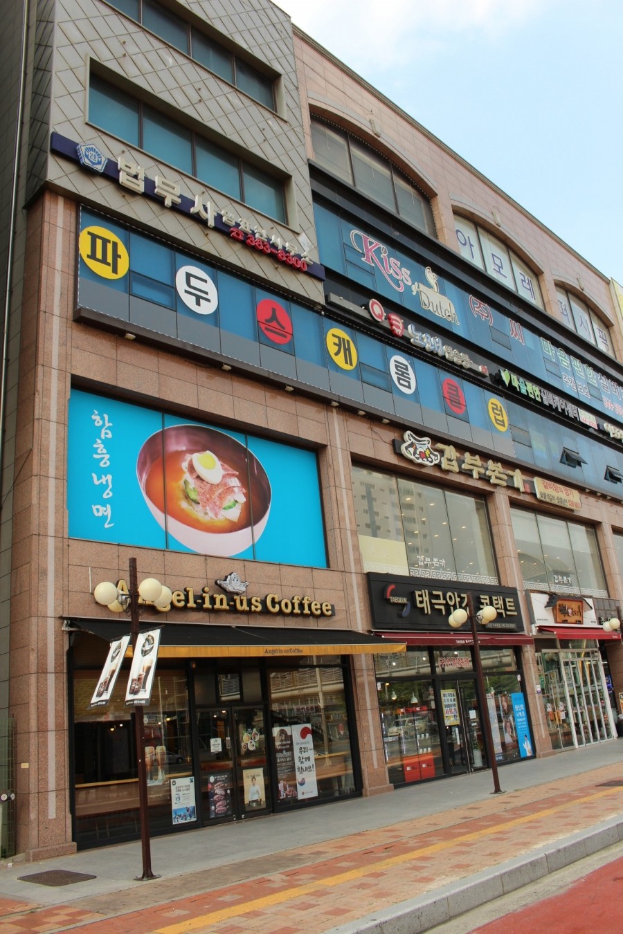 파두스캐롬클럽 이미지