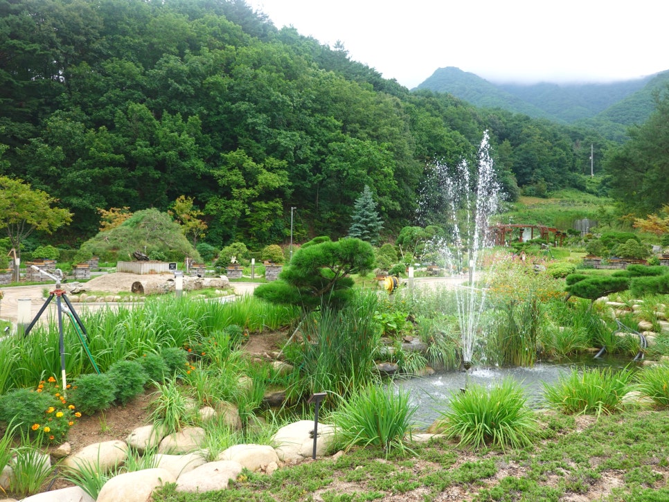 푸른분재원 이미지