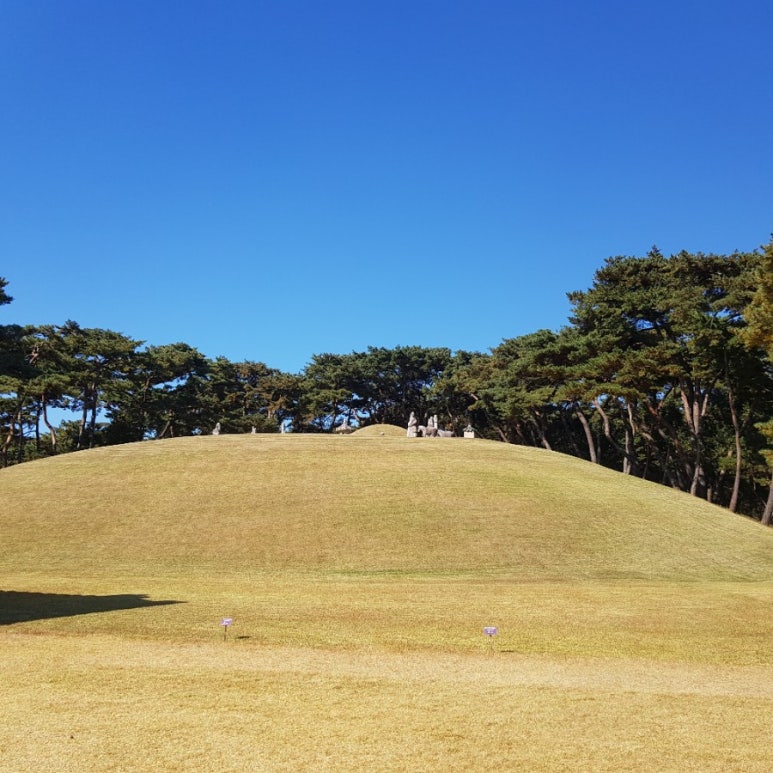 세종침장 이미지