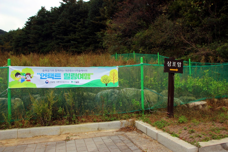 국립대관령치유의숲 이미지