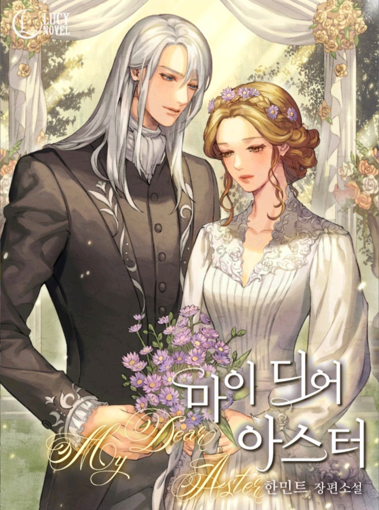 마이디어 이미지