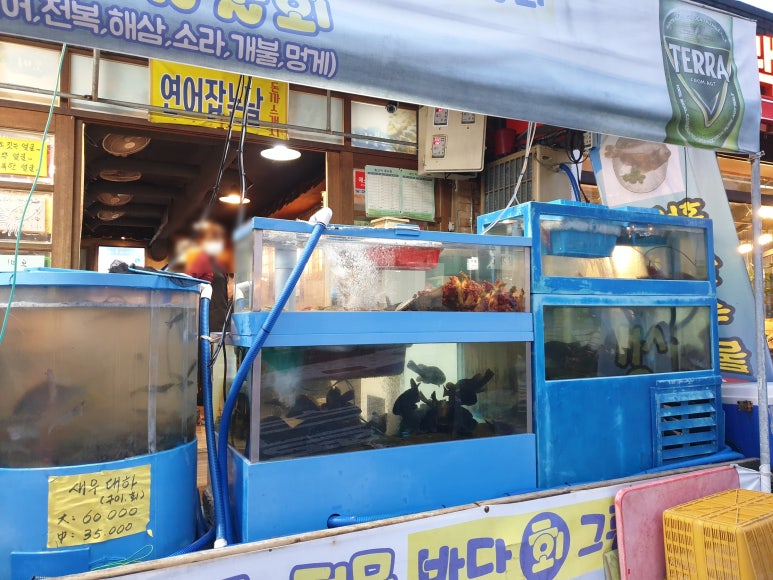 철따라어시장 이미지