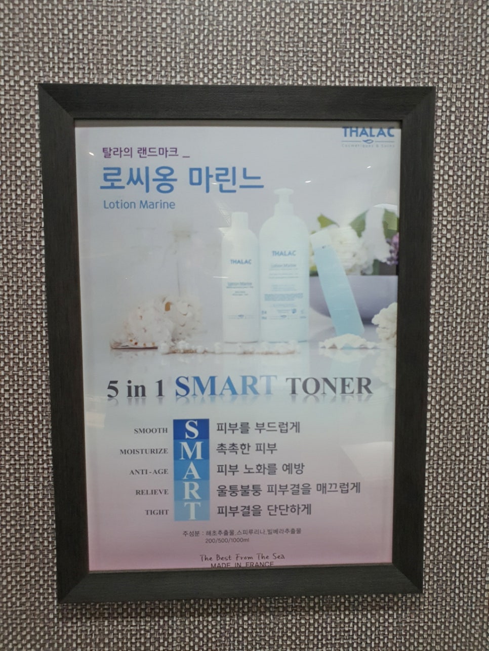 에스테틱도도 이미지