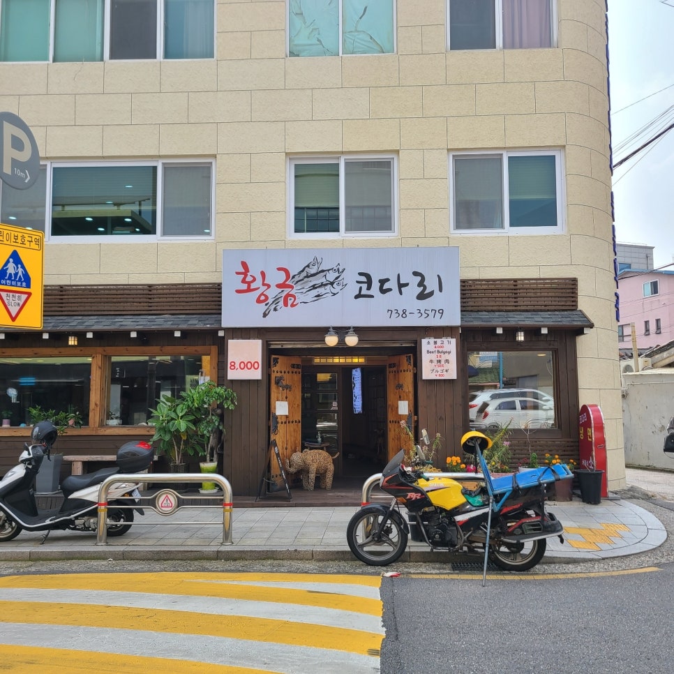 다온코다리 이미지