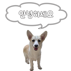 비밀의화원미드나잇점 이미지