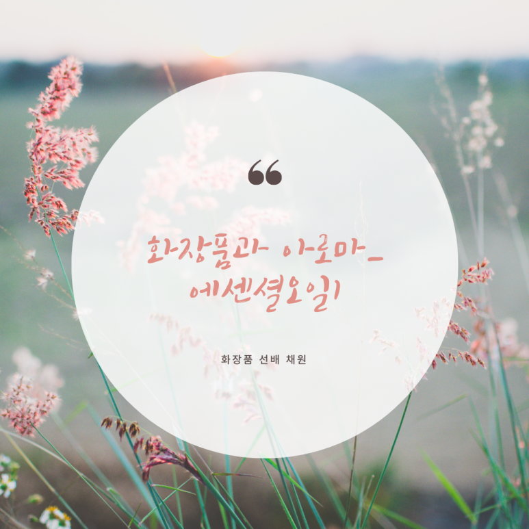 아로마화장품 이미지
