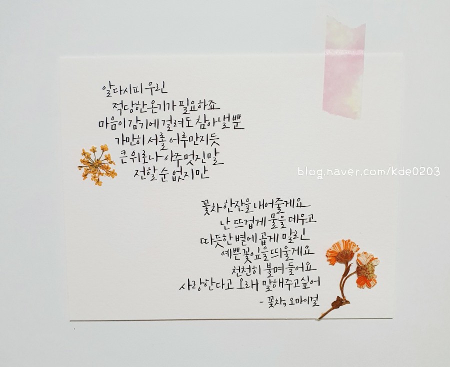 정원뜨개방 이미지