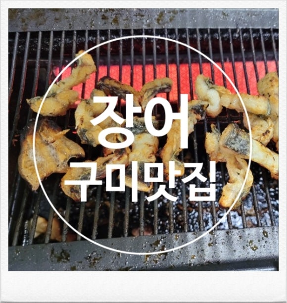 영광풍천장어 이미지