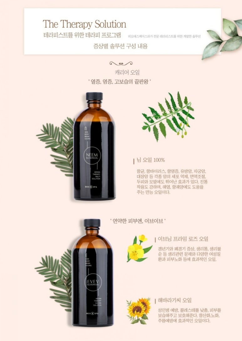 스타아로마 이미지