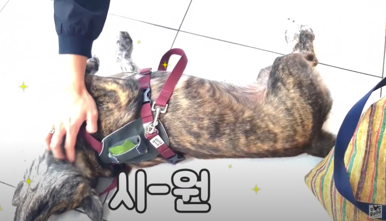 H헤어 이미지