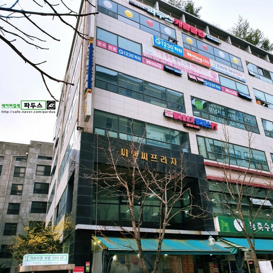 파두스캐롬클럽 이미지