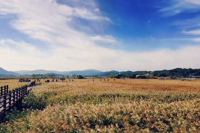 순천만여행스케치 이미지