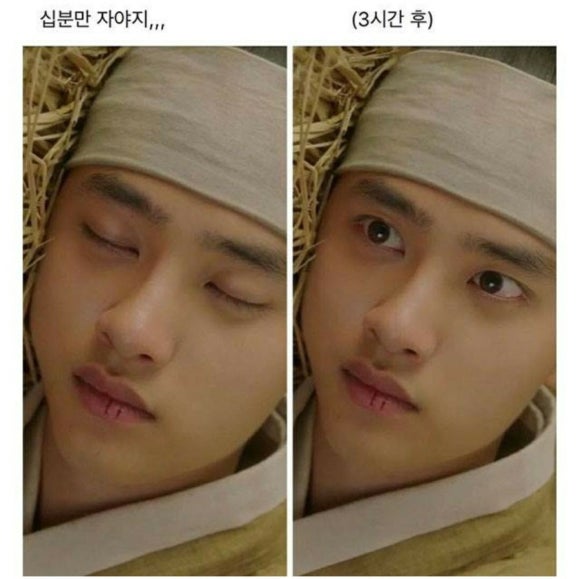 나돼지 이미지