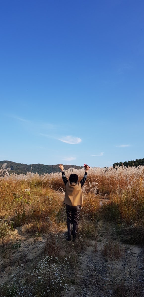 양지뜰 이미지
