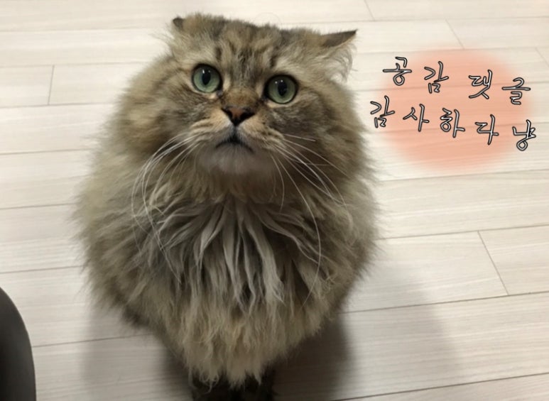 아름다운 연천한우 이미지