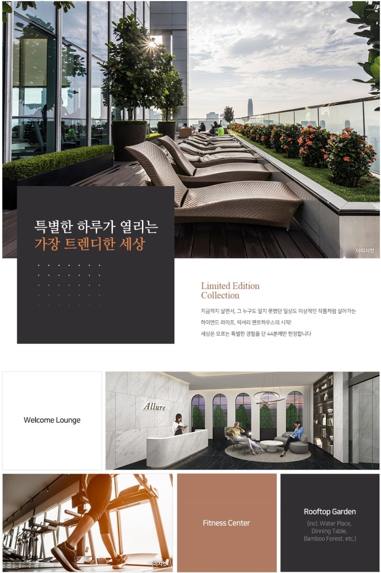 알루어 이미지