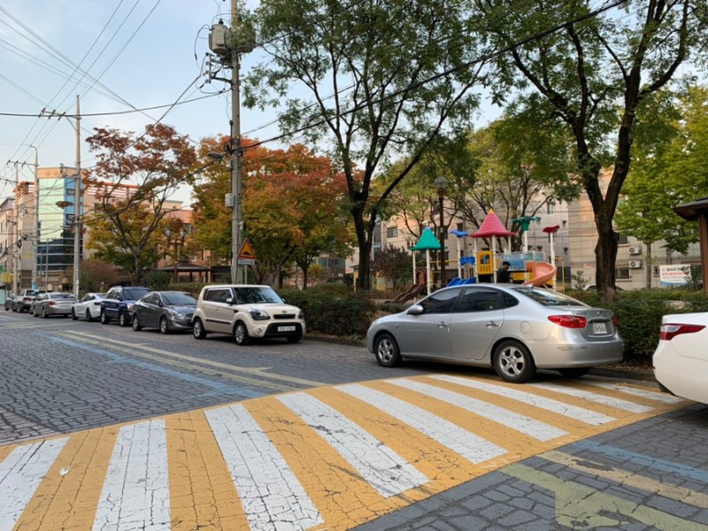 셀라비플라워 이미지