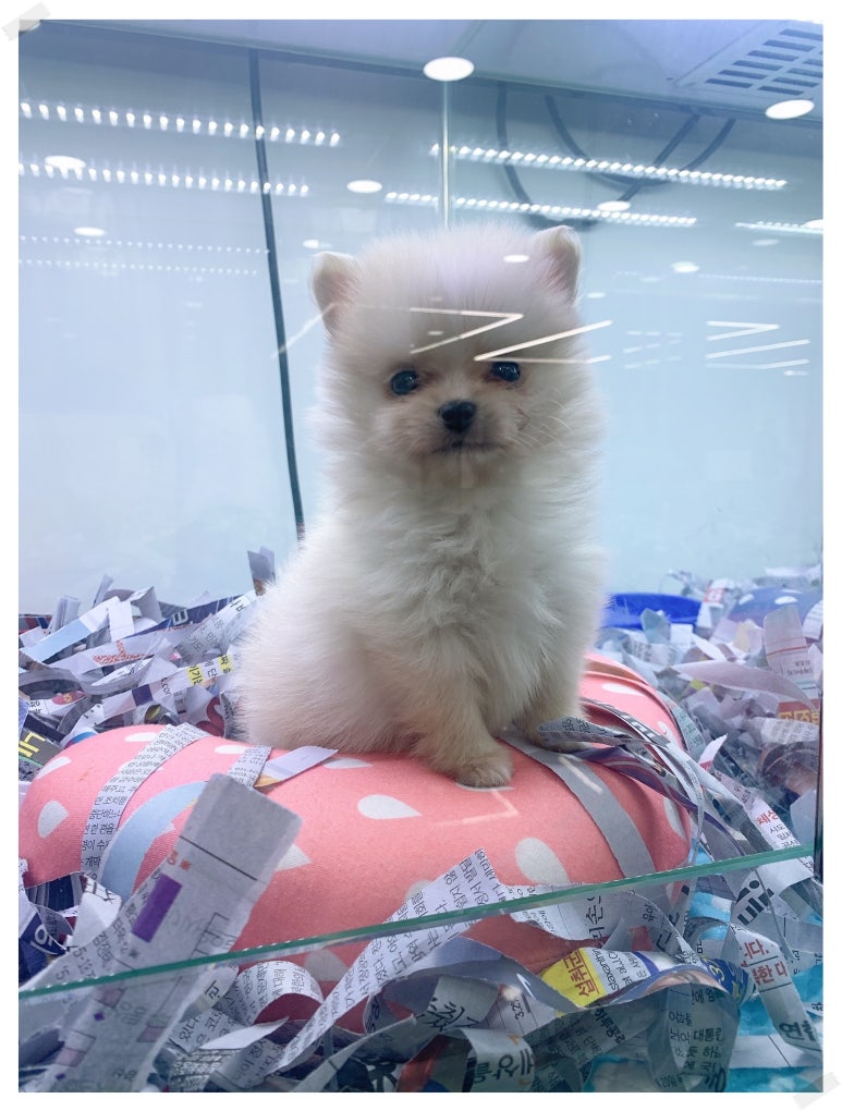 멍리단길 이미지