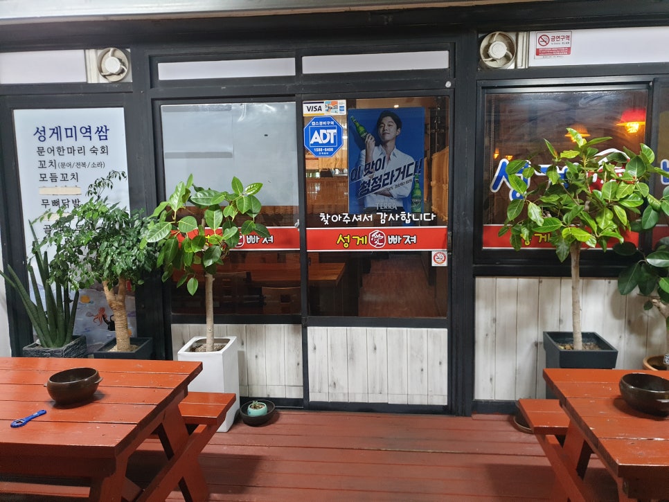 성게애빠져 이미지