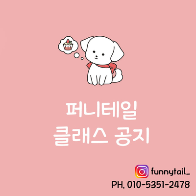 퍼니테일 이미지