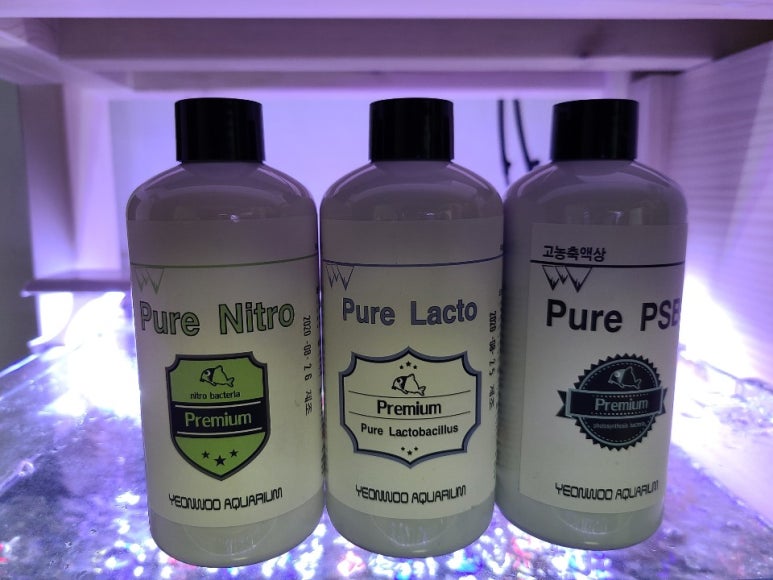 아쿠아pure 이미지