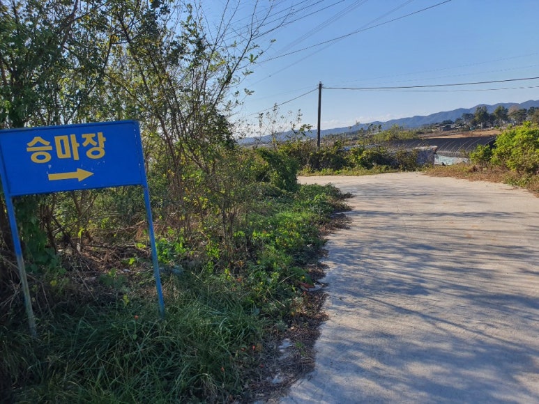 호남제일승마장 이미지