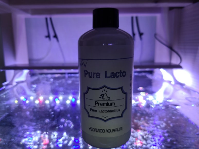아쿠아pure 이미지